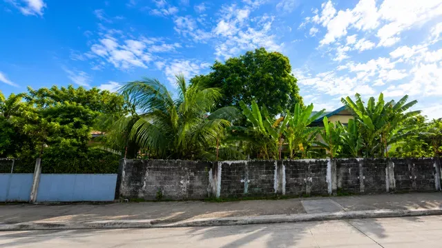 Commercial Lot for Sale – In Front of ANI Building